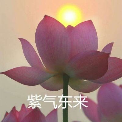 霸刀斩神2最新版(暂未上线)v3.0 安卓版